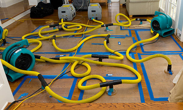 Professional Sewage Cleanup technician working in Washburn, IL